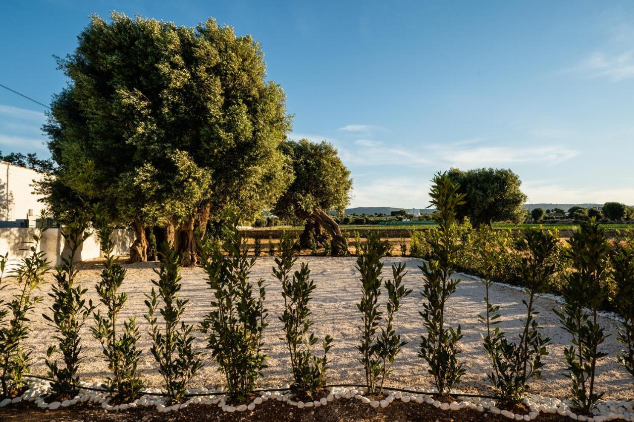 Il Pergolato Sul Mare Villa โมโนโปลี ภายนอก รูปภาพ