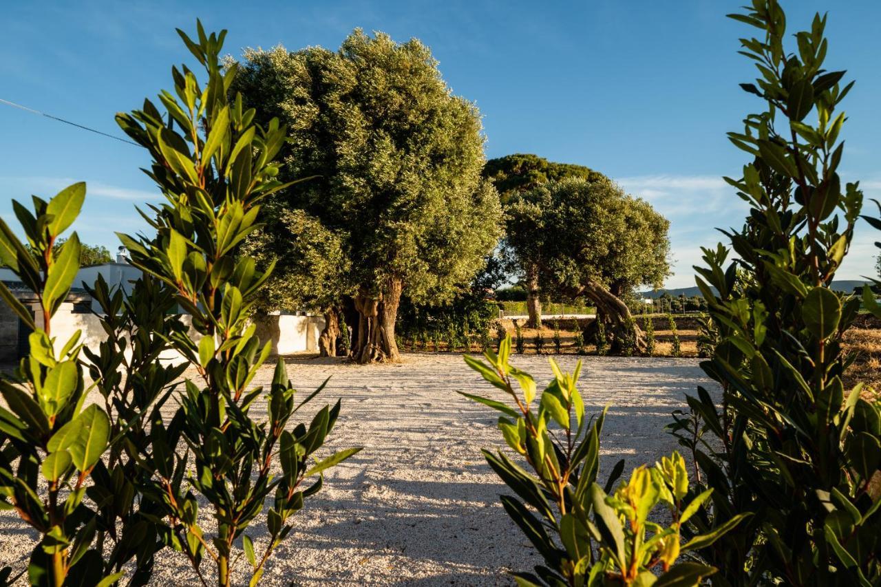 Il Pergolato Sul Mare Villa โมโนโปลี ภายนอก รูปภาพ